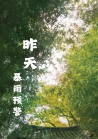 昨天暴雨情况