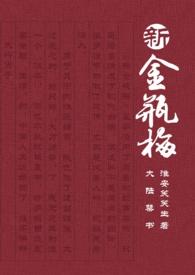 网络电视剧新金瓶梅