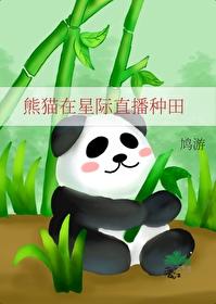 在星际养熊猫