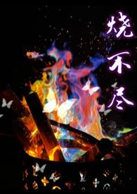 烧不尽txt全文