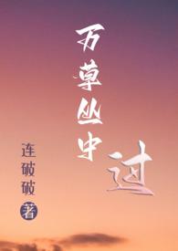 万草丛中一只猫全文阅读