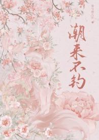 潮来潮去的下一句