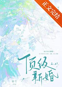 顶级新婚by穗竹讲的什么