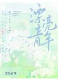 漂亮男孩百科