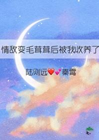 情敌变男友阅读