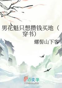 主角是男花魁的