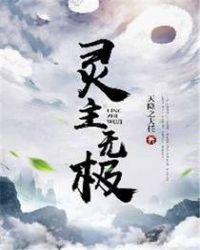 灵主功力