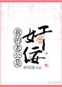 我的老公是奸佞内容
