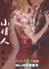小情人笔趣阁