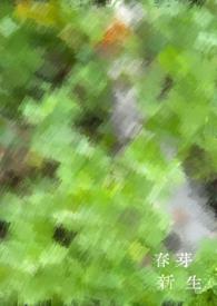 生命轮回