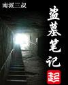 盗墓笔记txt电子书全本