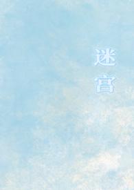 迷宫 知乎