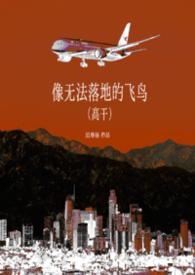 无法落脚的鸟