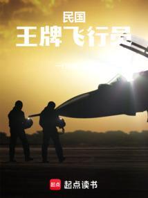 王牌飞行员在线阅读