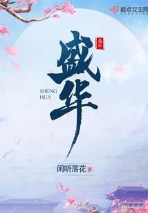 盛华大致讲什么内容
