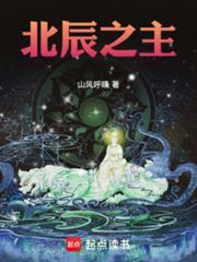 北辰之主无错版