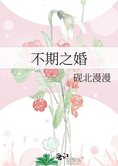 不期之婚砚北漫漫晋江