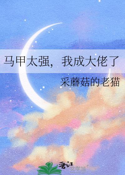马甲he了