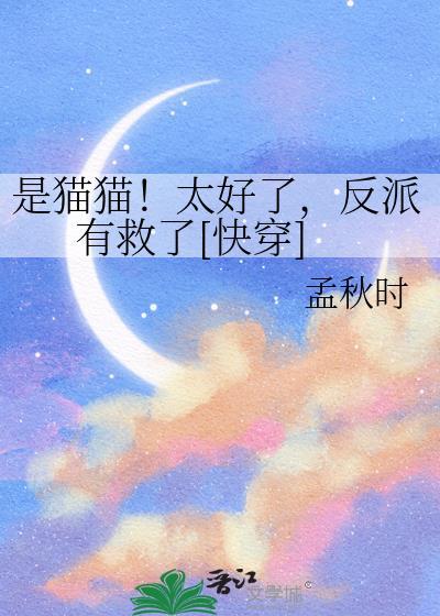 是槑猫呀