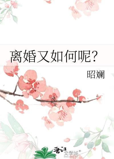 离婚又如何呢by