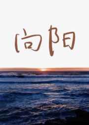 向阳花的寓意和象征意义