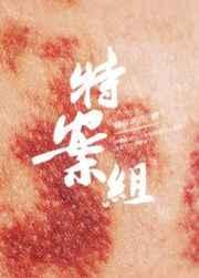 特殊案件调查组一共几部