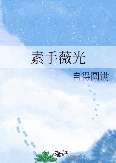 素手薇光gL和洁癖gL有啥不同