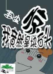 惊我竟然是块石头