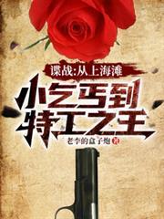 谍战从上海滩小乞丐到特工之王未删减