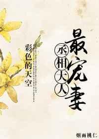 丞相大人的宠妾