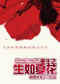 重生之生如夏花cp是谁