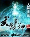 武动乾坤第六季在线播放免费观看全集动漫版