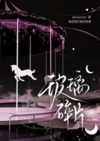 玻璃碎片(骨科)