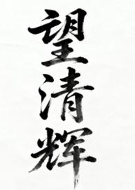 望清辉(女尊np)